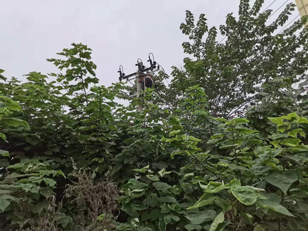 1633439636646336.jpeg 1600.jpg