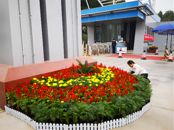 1664345662238678.png dfaf19917134240ce34e9ba5437e47f(1).png